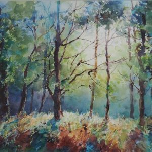 Morning Light